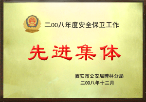 2008年度安全保卫工作-先进集体