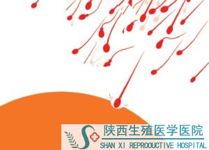 精子异常如何才能预防呢